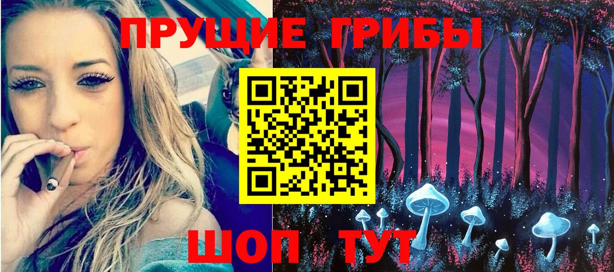 Владивосток  Псилоцибиновые грибы Psilocybine cubensis  Вход с VPN 